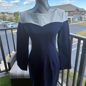 Chic Long Sleeve Navy and White Dress
